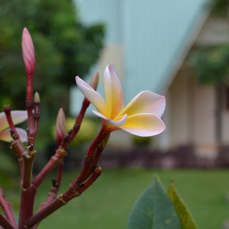 Touch Star Resort - Doi Inthanon Chom Thong Exterior photo
