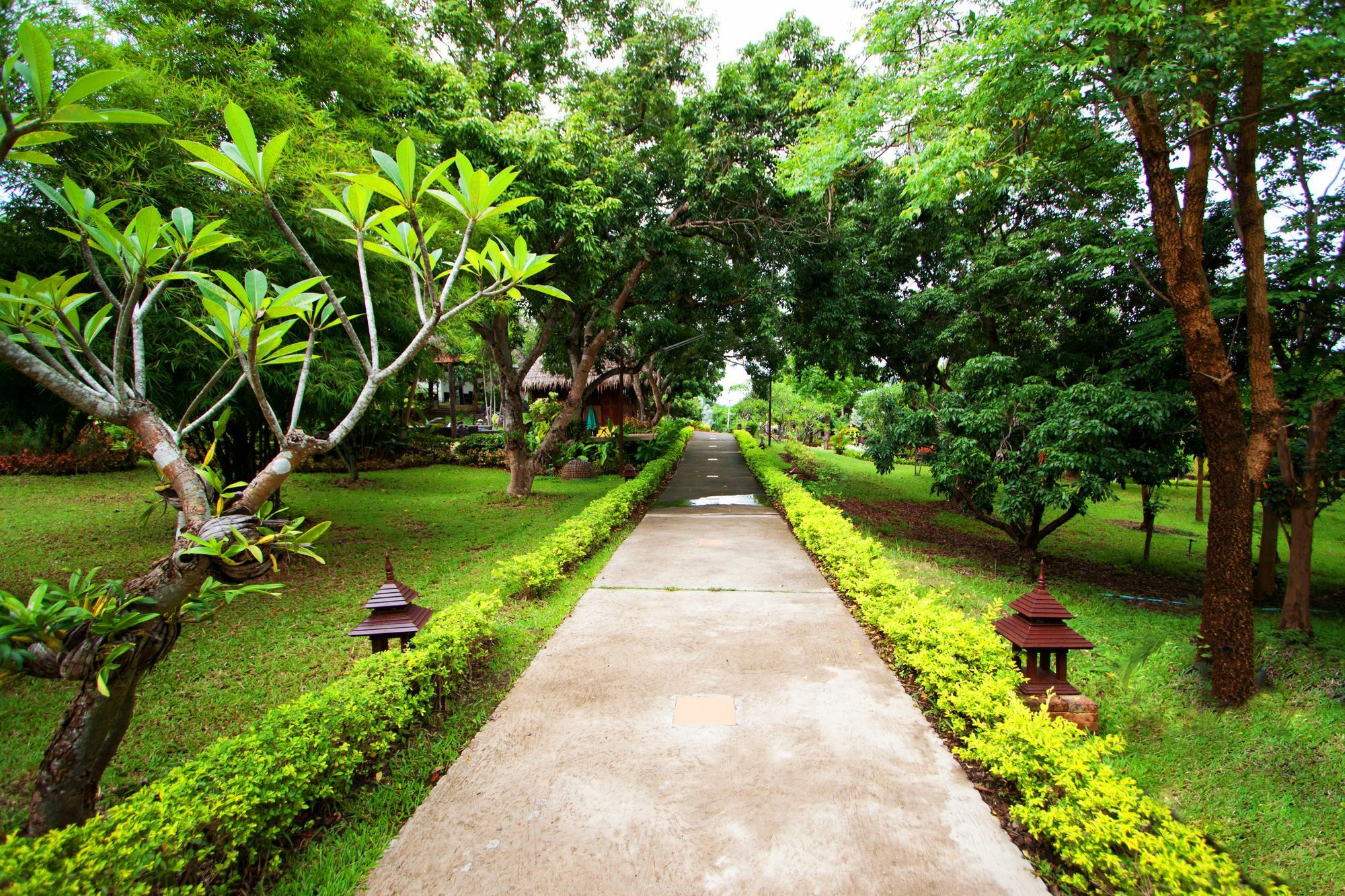 Touch Star Resort - Doi Inthanon Chom Thong Exterior photo